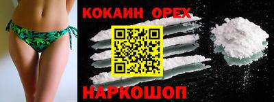 прущие грибы Обь